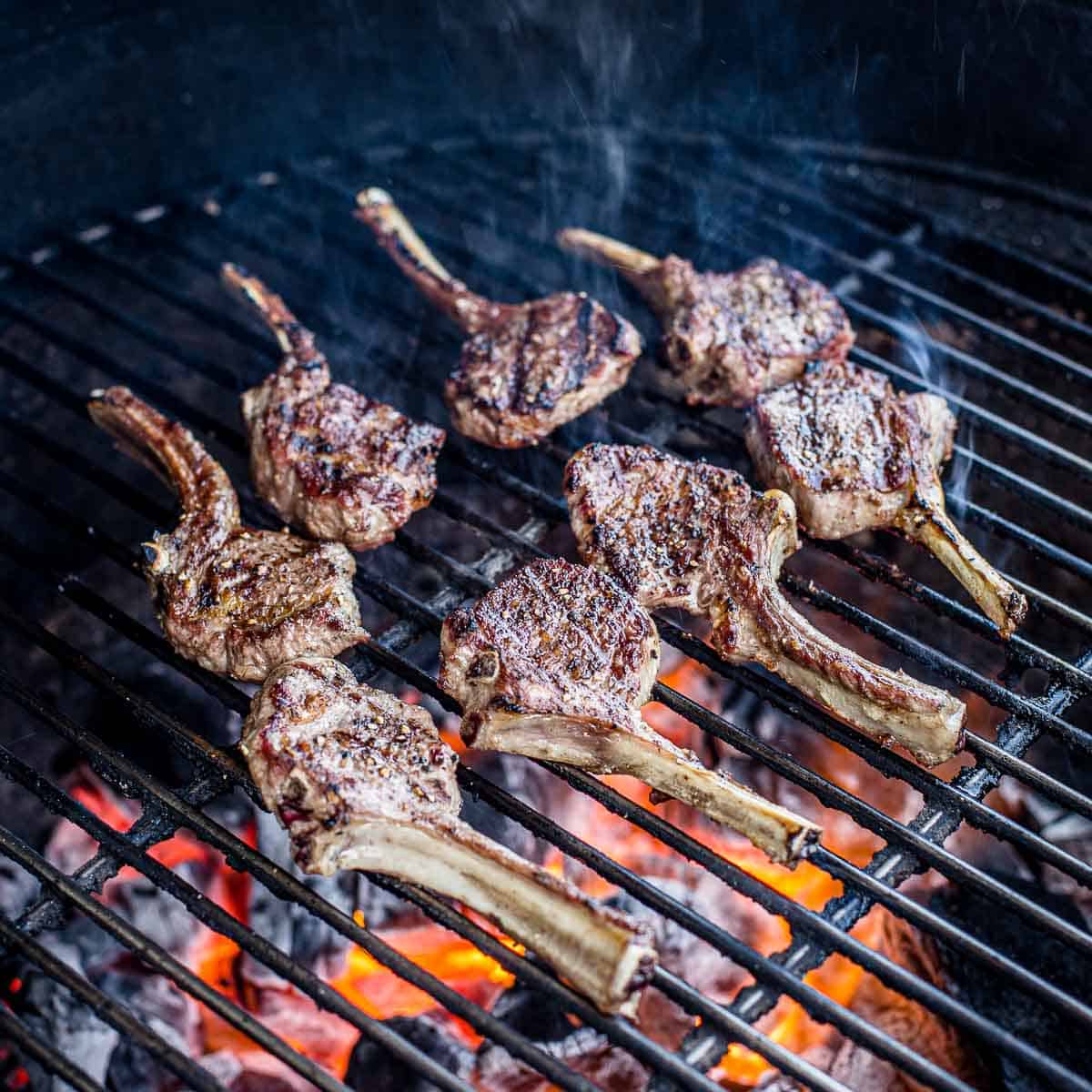 New Zealand Spring Lamb Chops - Grass Feed 18lb Box BBQ