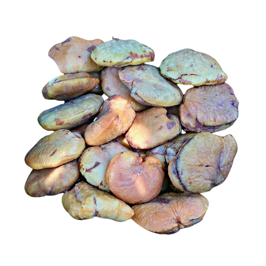 Tahitian Chestnut Ivi