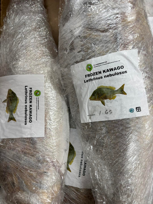 Whole Kawago Fish